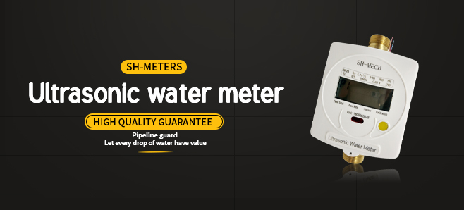Small diameter ultrasonic water meter Development Outlook