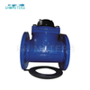 Woltman Water Meter Dry Dial Cast Iron